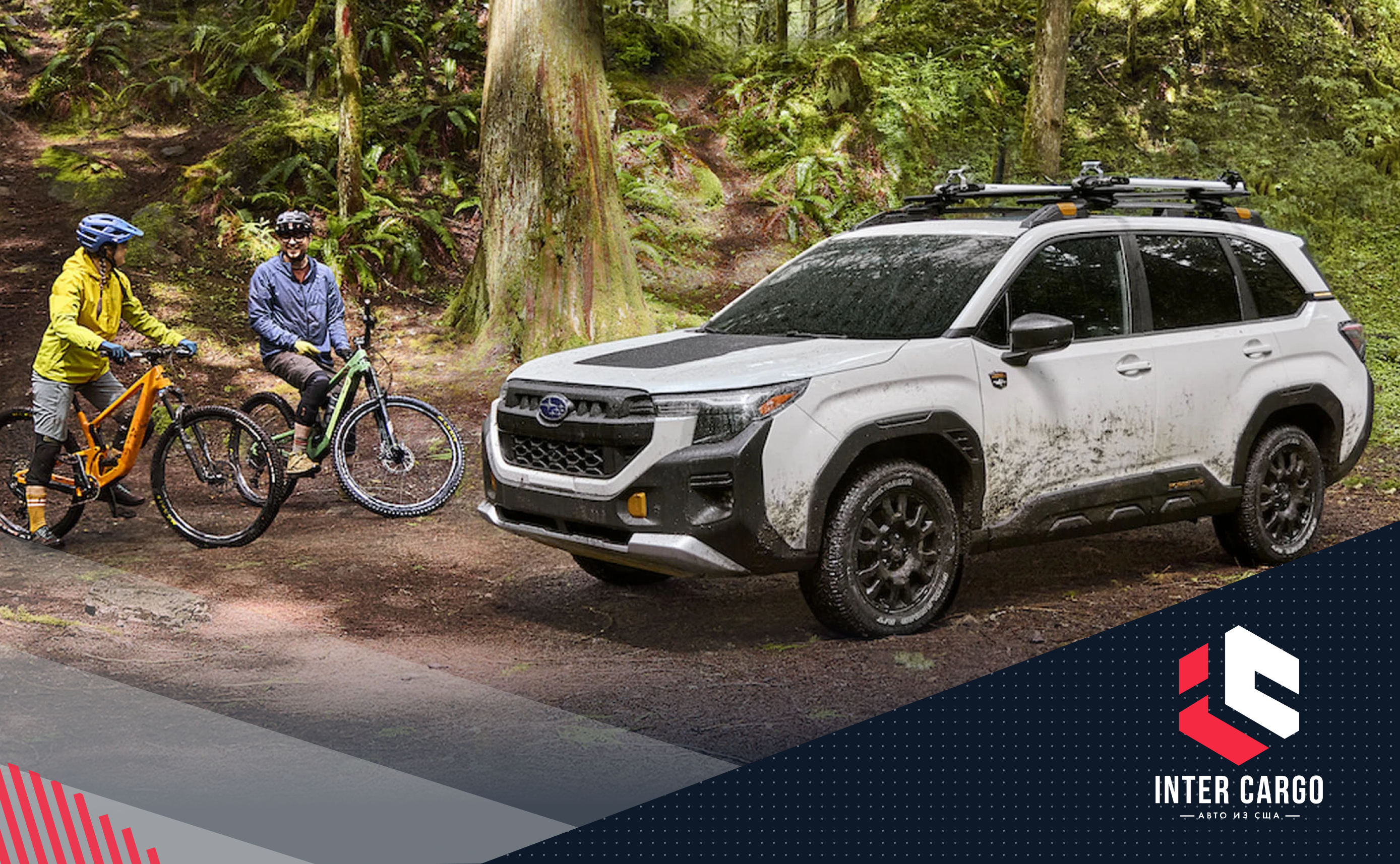 Strategic Vision: какие авто выбирают геймеры и активисты