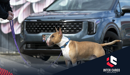 J.D. Power: хвостатые пассажиры качают китайский автопром