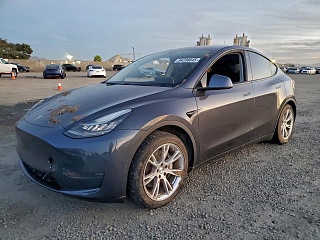 Tesla Model Y 2020
