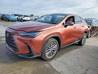 LEXUS NX 350 LUXURY 2025