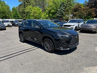 LEXUS NX 250 2022