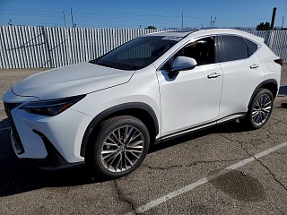 LEXUS NX 350 PREMIUM 2025