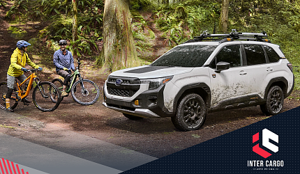 Strategic Vision: какие авто выбирают геймеры и активисты