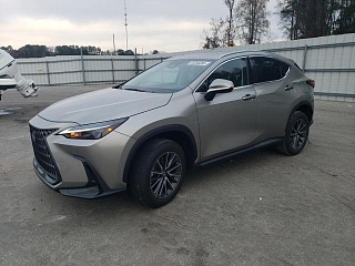 LEXUS NX 250 PREMIUM 2025