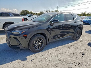 LEXUS NX 250 PREMIUM 2024
