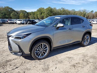 LEXUS NX 350 LUXURY 2024