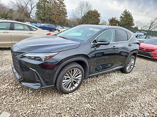 LEXUS NX 350H 2022
