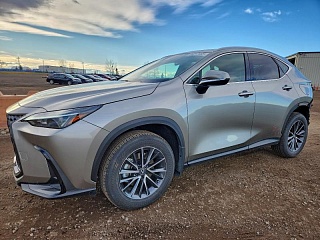 LEXUS NX 350H BASE 2025