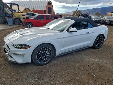 FORD MUSTANG 2023