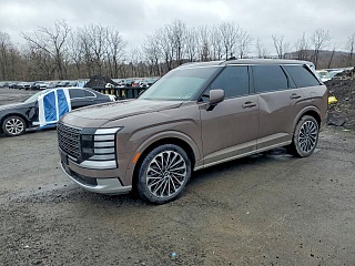 HYUNDAI PALISADE CALLIGRAPHY 2025