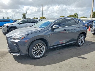 LEXUS NX 350 PREMIUM 2024
