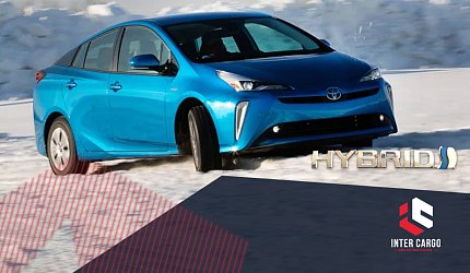 Лучшие гибриды для ввоза из США: много работают и мало едят