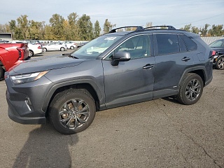 TOYOTA RAV4 XLE PREMIUM 2024