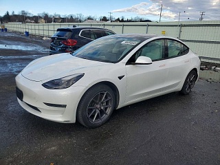 TESLA MODEL 3 2020